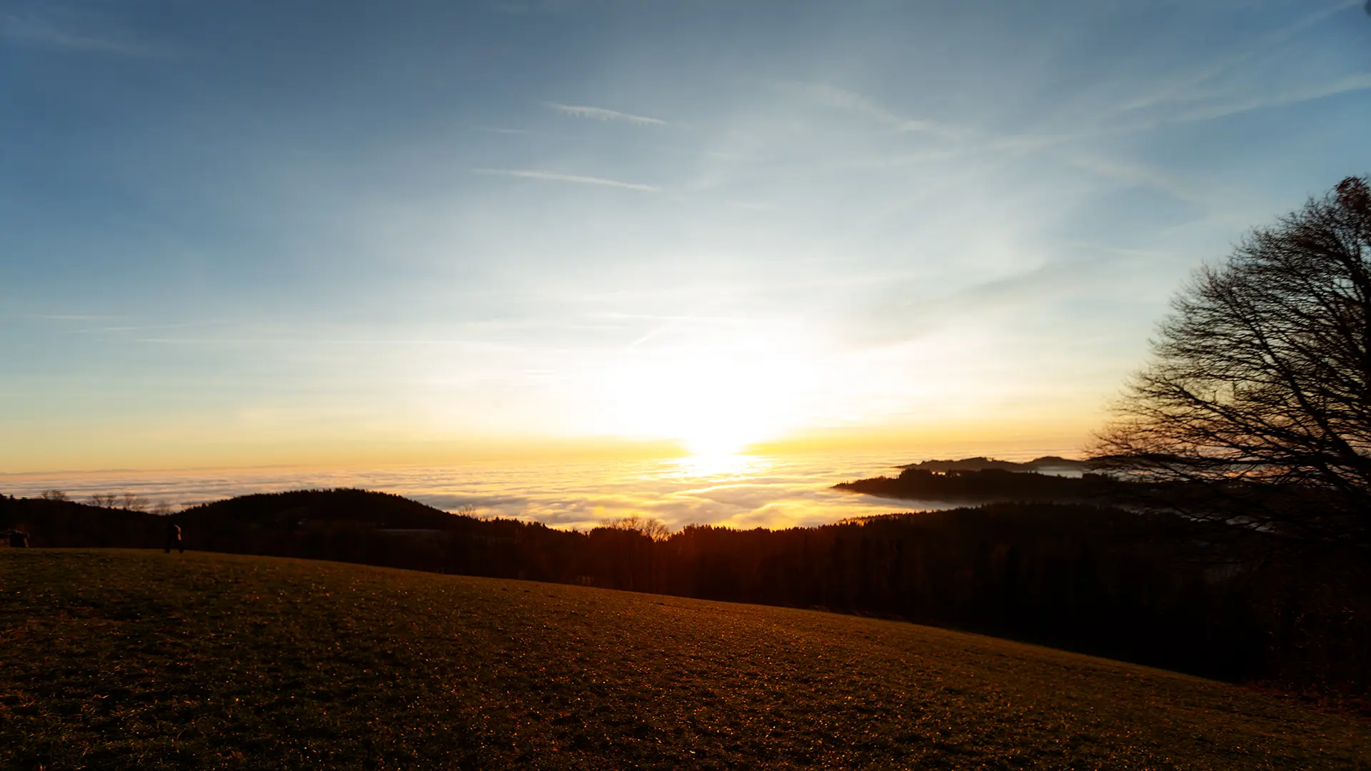 Geschützte Forstkorridore und Geländeführung im Hochwald
