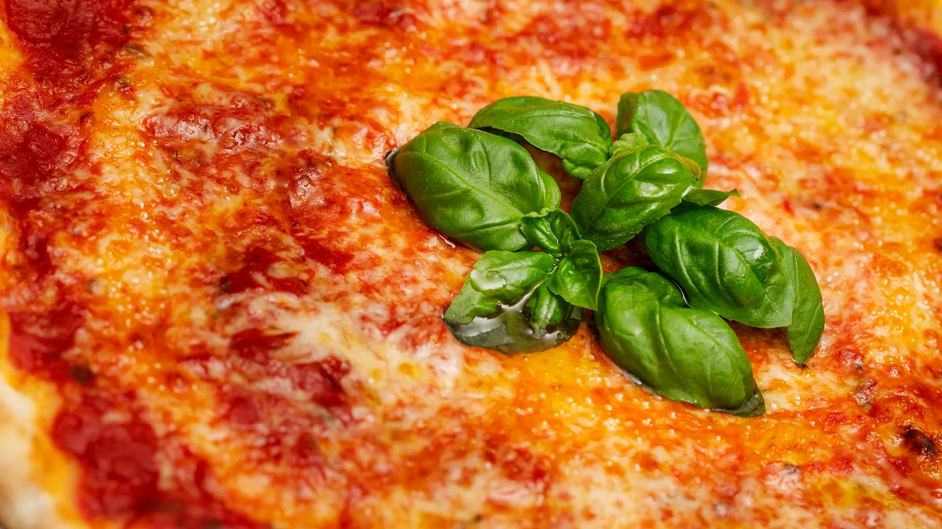 Elastischer Pizzateigling bei der neapolitanischen Teigführung