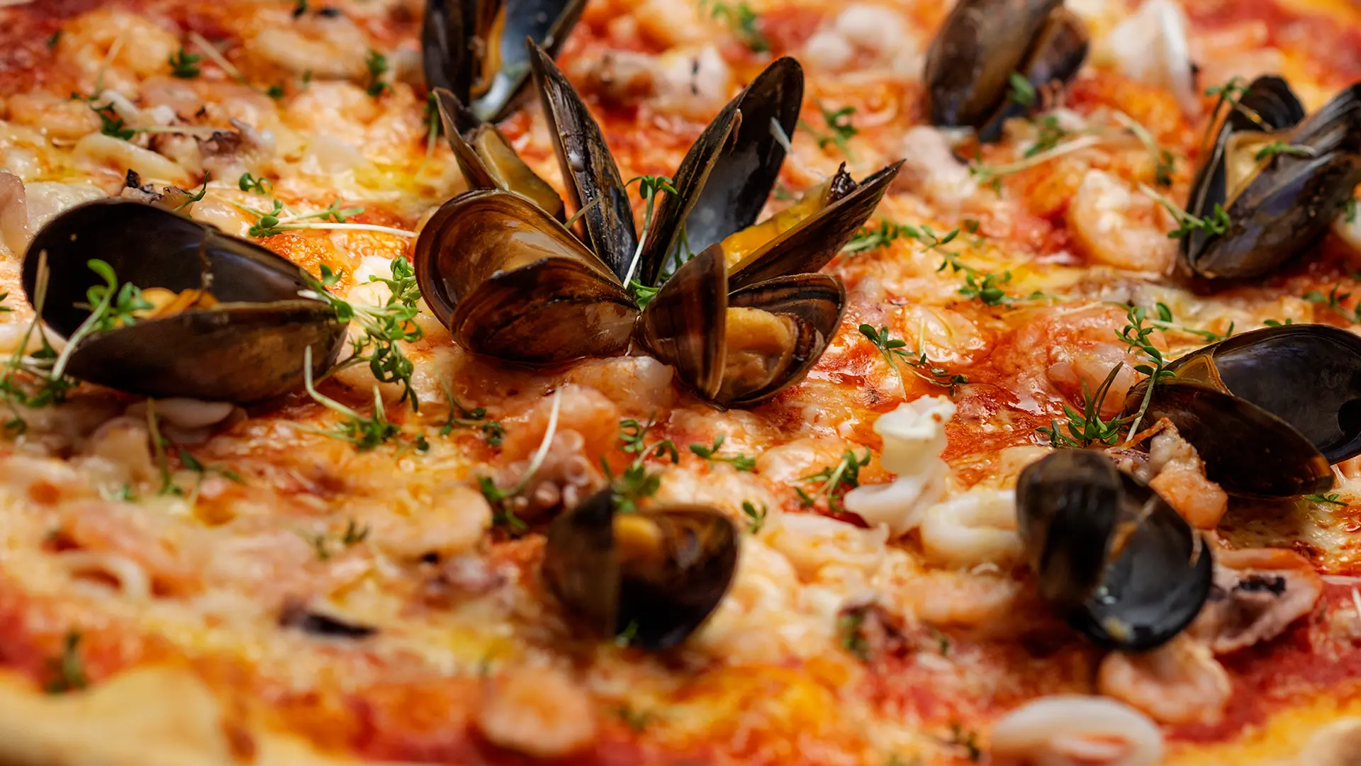 Vilshofen Pizza – Neapolitanische Teig-Architektur und Schamotte-Glut an der Donau